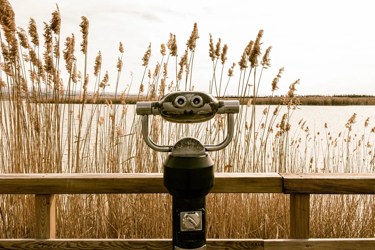 Binoculars Checklist for Birdwatchers: 8 Features to Test Before You Buy